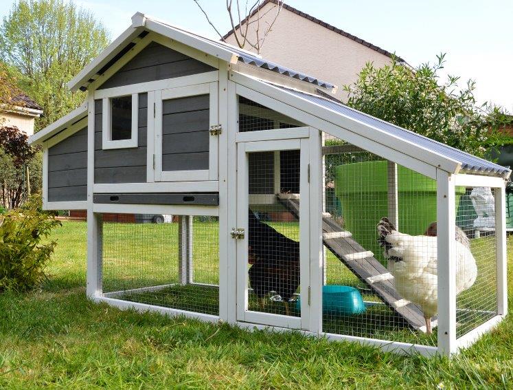 Gallinero de madera con placa bituminosa ONDULINE EASYINE
