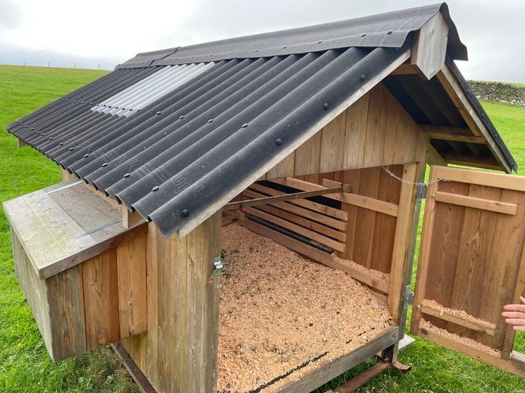 Gallinero madera cobertura de placa bituminosa ONDULINE EASYLINE